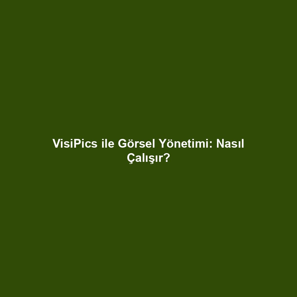 VisiPics ile Görsel Yönetimi: Nasıl Çalışır?